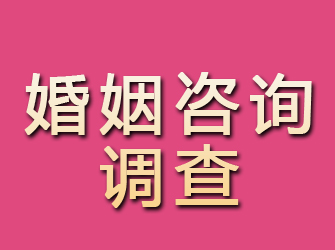 遂川婚姻咨询调查