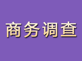 遂川商务调查